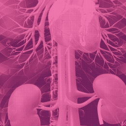 Couverture Cardio Renal